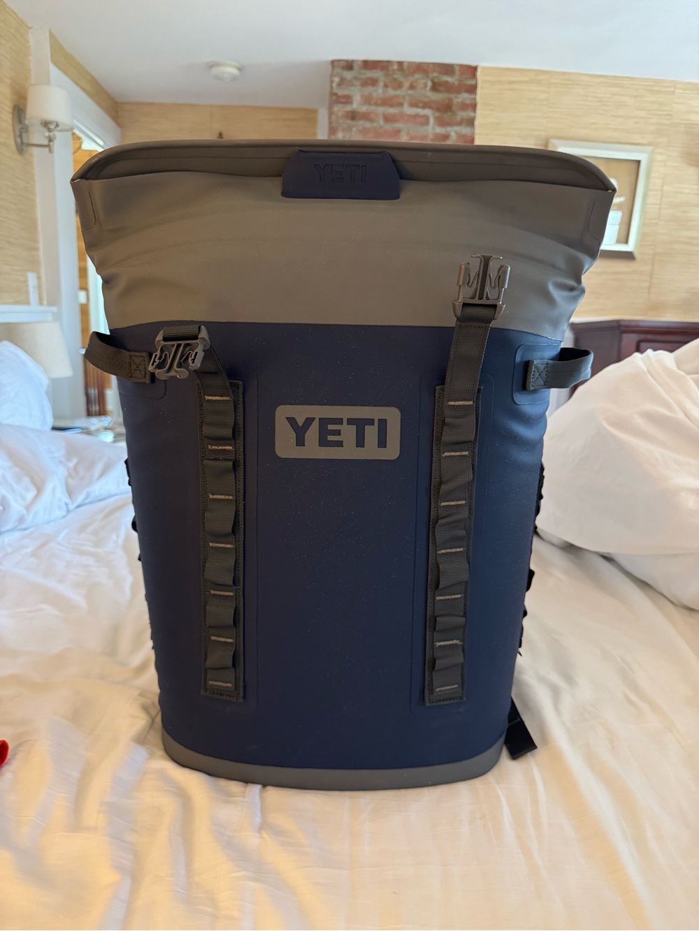 Yeti Hopper m20 cooler backpack - Picture 5 of 13